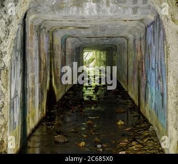 Verlassene Ocean Shore Railroad Creek Tunnel Stockfoto