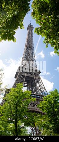 Blick auf Eiffelturm, Parc du Champ-de-Mars, Paris, Frankreich Stockfoto