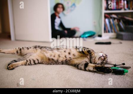 Tabby Katze streckt sich auf dem Teppich neben einem Hubschrauber Spielzeug Stockfoto