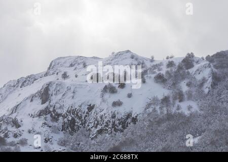 Schneebedeckter Berg mit Bäumen und Nebel Stockfoto