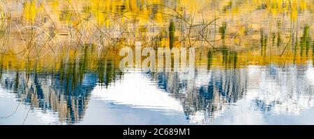 Herbsttag über Talbot Lake, Jasper National Park, Alberta, Kanada Stockfoto