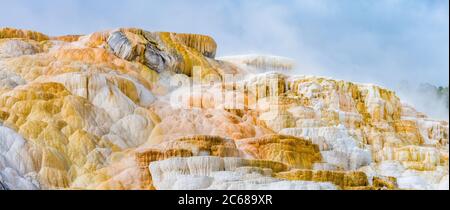 Nahaufnahme von Felsen, Palatte Spring, Mammoth Hot Springs, Yellowstone National Park, USA Stockfoto