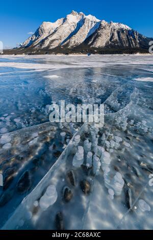 Methanblasen gefroren im Eis unter Mt. Michener, Abraham Lake, Alberta, Kanada Stockfoto