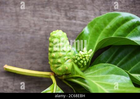 noni Frucht auf Holzhintergrund / frisch reifen und rohen Noni Blatt, große Morinda (Noni) oder Morinda citrifolia Stockfoto