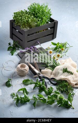 Frische grüne Gartenkräuter. Gesunde Ernährung. Stockfoto