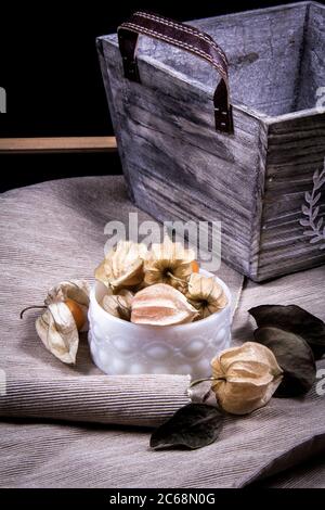 cape Stachelwaren, blüht und getrocknete Blätter innen und um eine Keramikschale. Stockfoto