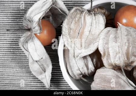 cape Stachelwaren, blüht und getrocknete Blätter innen und um eine Keramikschale. Stockfoto