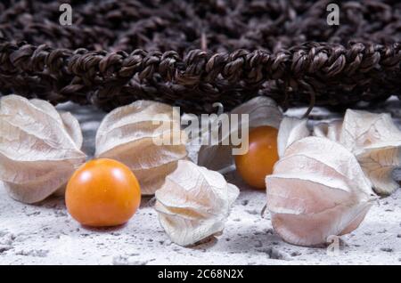 cape Stachelwaren, blüht und getrocknete Blätter innen und um eine Keramikschale. Stockfoto