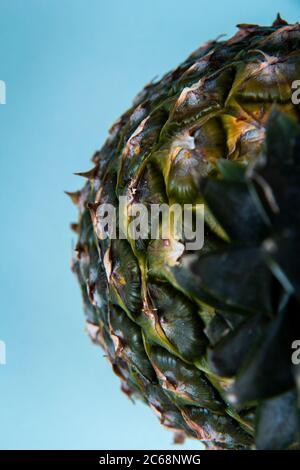 Nahaufnahme einer frischen Ananas auf hellblauem Hintergrund. Stockfoto