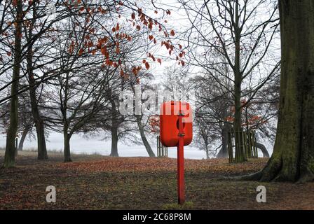 Ein orangefarbener Rettungsgurt-Halter, umgeben von Bäumen am Ufer von Pen Ponds im Richmond Park, London, Großbritannien Stockfoto