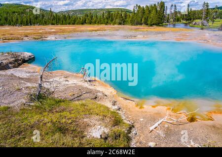 Die farbenfrohen Pools mit heißen Quellen im Yellowstone National Park, Wyoming. Stockfoto