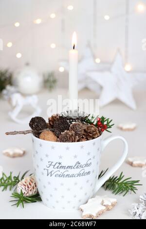 weihnachtliche Dekoration in Weiß mit Kerze, Zapfen und Nüssen in einer Tasse Stockfoto