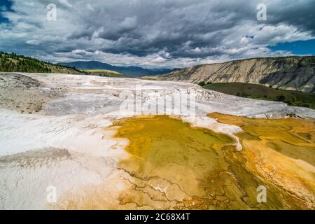 Die Mammut-heiße Quelle im Yellowstone National Park, Wyoming. Stockfoto