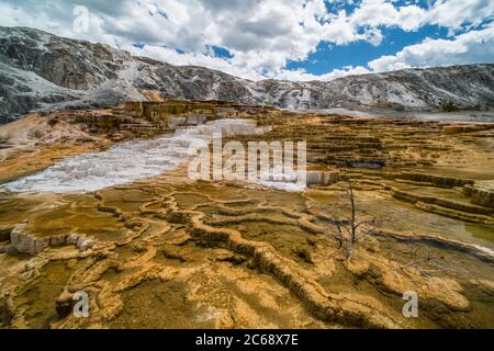 Die Mammut-heiße Quelle im Yellowstone National Park, Wyoming. Stockfoto