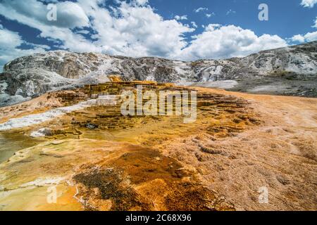 Die Mammut-heiße Quelle im Yellowstone National Park, Wyoming. Stockfoto