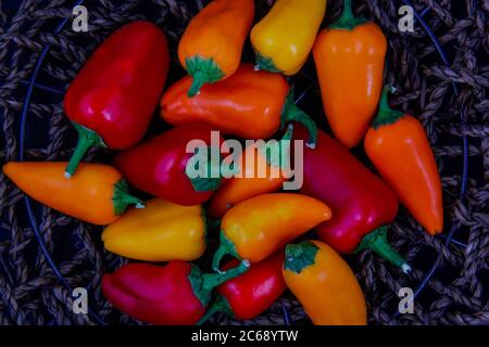 Rote und farbige Paprika in kleinen Schüsseln. Stockfoto