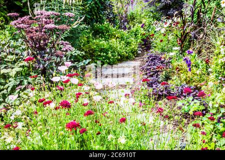 Ein Gartenweg zwischen Strauch und krautigen Grenzen in einem englischen Landgarten. Stockfoto