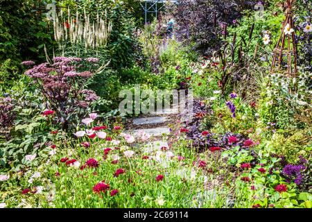 Ein Gartenweg zwischen Strauch und krautigen Grenzen in einem englischen Landgarten. Stockfoto