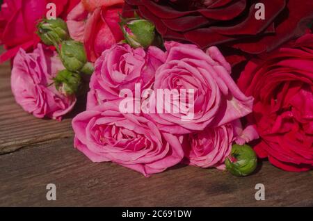 Komposition Anordnung von bunten Rosen. Viele Farben von Rosen. Gemischte Rosen in einem floralen Arrangement von Hochzeitsdekoration Stockfoto