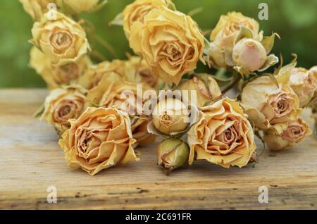 Trockene Rosen auf altem Holzhintergrund. Getrocknete Strauß Rosenblüten. Transienz des Zeitkonzepts Stockfoto