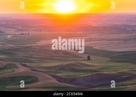 Blick auf den Sonnenuntergang auf Palouse Weizenfeld, im Sommer, im Staat Washington. Stockfoto