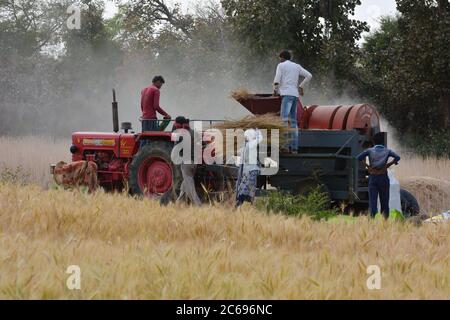 TIKAMGARH, MADHYA PRADESH, INDIEN - 24. MÄRZ 2020: Indische Bauern, die auf dem Feld arbeiten. Stockfoto