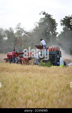 TIKAMGARH, MADHYA PRADESH, INDIEN - 24. MÄRZ 2020: Indische Bauern, die auf dem Feld arbeiten. Stockfoto