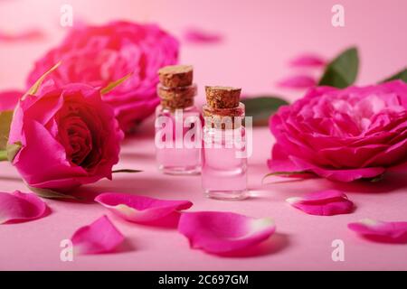 Rosenwasser oder ätherisches Öl in Glasflaschen mit rosa frischen Rosenblüten und Blütenblättern auf rosa Hintergrund Stockfoto