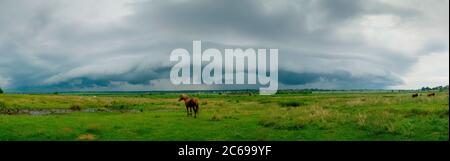 Wunderbares Panorama auf die Berge. Pferde auf einer Bergwiese. Sommer-Panorama-Landschaft in den Bergen. Ukraine, Karpaten. Schöne Natur V Stockfoto