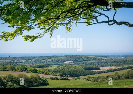 Church Hill bei Worthing vom Chanctonbury Ring auf den South Downs, West Sussex, Großbritannien Stockfoto