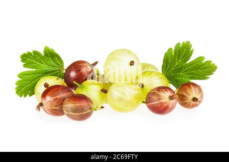 Haufen von roten und grünen Stachelbeerfrucht mit Blättern isoliert auf weißem Hintergrund Stockfoto