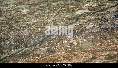 Felszeichnungen des Weißen Meeres in Zalavruga. Russland, Karelien, Zalavruga Stockfoto