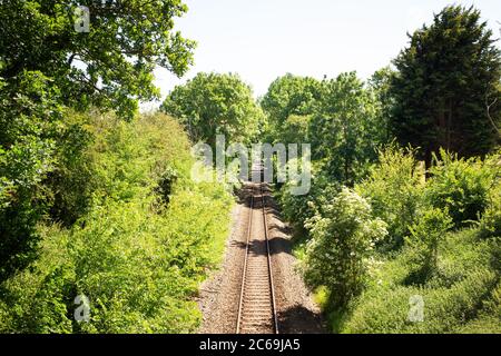 Eine Eisenbahnstrecke mit Bäumen auf beiden Seiten, die durch einen Wald schneiden Stockfoto