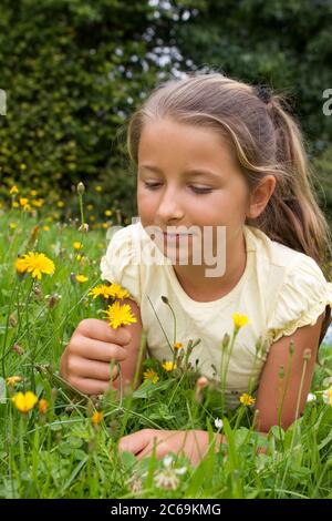 Mädchen liegt auf einer Löwenzahnwiese und blickt auf eine gelbe Blüte, Vorderansicht, Deutschland Stockfoto