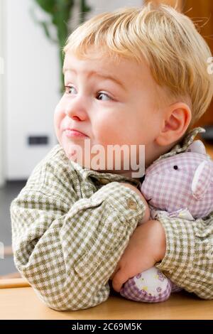 Kleiner Junge mit Kuscheltier, halblanges Porträt, Deutschland Stockfoto