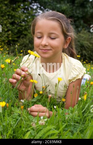 Mädchen liegt auf einer Löwenzahnwiese und blickt auf eine gelbe Blüte, Vorderansicht, Deutschland Stockfoto