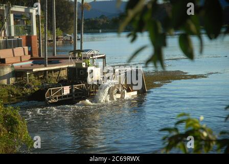 Boot Clearing Unkraut in den Kanälen, Clear Island Waters, Gold Coast, Queensland, Australien. Stockfoto