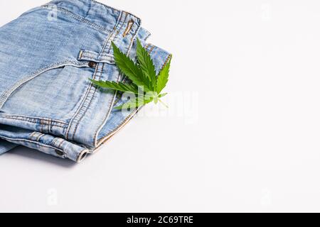 Ein Blatt frischen Hanfs liegt auf Jeans auf weißem Hintergrund isolieren. Cannabis-Konzept bei der Herstellung von Bekleidungsstoff. Stockfoto
