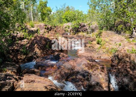 Buley Rockhole im Litchfield National Park, Northern Territory, Australien. Stockfoto