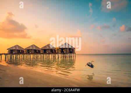 Tolle Reiselandschaft. Sonnenuntergang auf der Malediven Insel, Luxus Wasser Villen Resort und hölzerne Pier. Schöner Himmel und Wolken und Strand Hintergrund Stockfoto