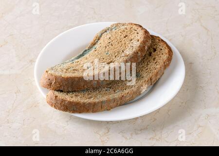 Zwei Scheiben abgestandenen Roggenbrotes mit grünem Schimmel auf einem weißen Teller über dem Küchentisch. Schimmeliger Pilz auf verfaulten Brot. Verdorbenes Brot mit Schimmel. Vorderansicht Stockfoto