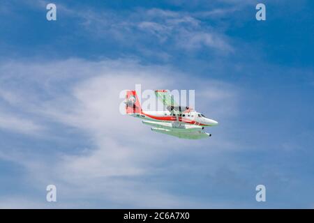 Male, Maldives - 12/17/2017: Das Wasserflugzeug der Fluggesellschaft Trans Maldivian Airways fliegt in blauem Himmel über Male. Luxusreisen, exotischer Urlaub Transport Stockfoto