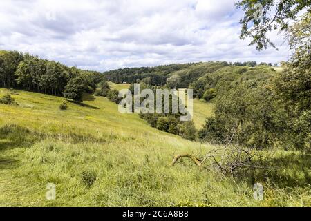 Das Tal des Flusses Windrush in der Nähe des Cotswold-Dorfes Naunton, Gloucestershire UK Stockfoto