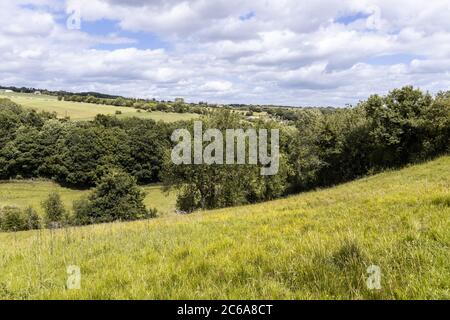 Das Tal des Flusses Windrush in der Nähe des Cotswold-Dorfes Naunton, Gloucestershire UK Stockfoto