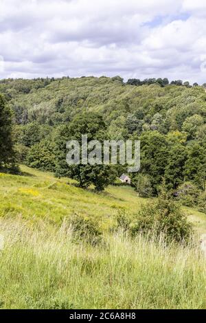 Das Tal des Flusses Windrush in der Nähe des Cotswold-Dorfes Naunton, Gloucestershire UK Stockfoto