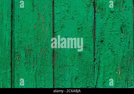 Textur von Holzbrettern in grüner Farbe lackiert Stockfoto