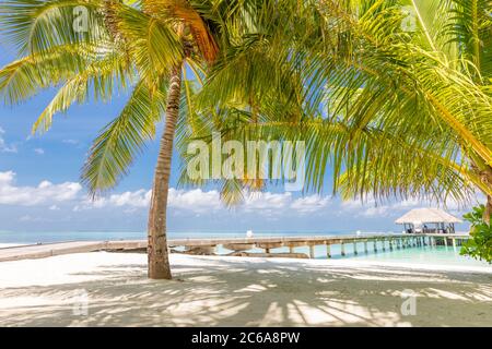 Sommerurlaub auf einer tropischen Insel mit schönem Strand und Palmen. Luxus Reise Hintergrund, exotische Strandlandschaft, sonniges Wetter, Tropen Stockfoto