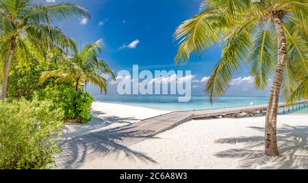 Sommerurlaub auf einer tropischen Insel mit schönem Strand und Palmen. Luxus Reise Hintergrund, exotische Strandlandschaft, sonniges Wetter, Tropen Stockfoto