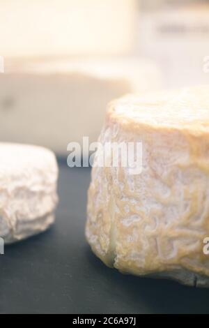 Auswahl an Gourmet-Käse. Keine Personen Stockfoto