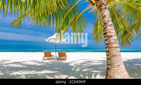 Wunderschönes tropisches Strandbanner. Weißer Sand und Kokospalmen Reise Tourismus breites Panorama Hintergrund Konzept. Tolle Strandlandschaft Stockfoto